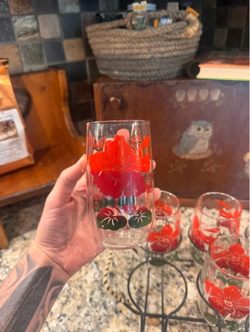 Vintage MCM red and green hibiscus juice glasses with carrier